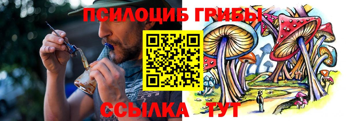 Псилоцибиновые грибы Psilocybe Минусинск
