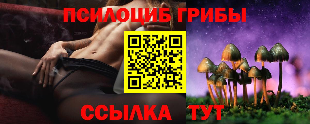 Минусинск  Псилоцибиновые грибы ЛСД  Вход с VPN 